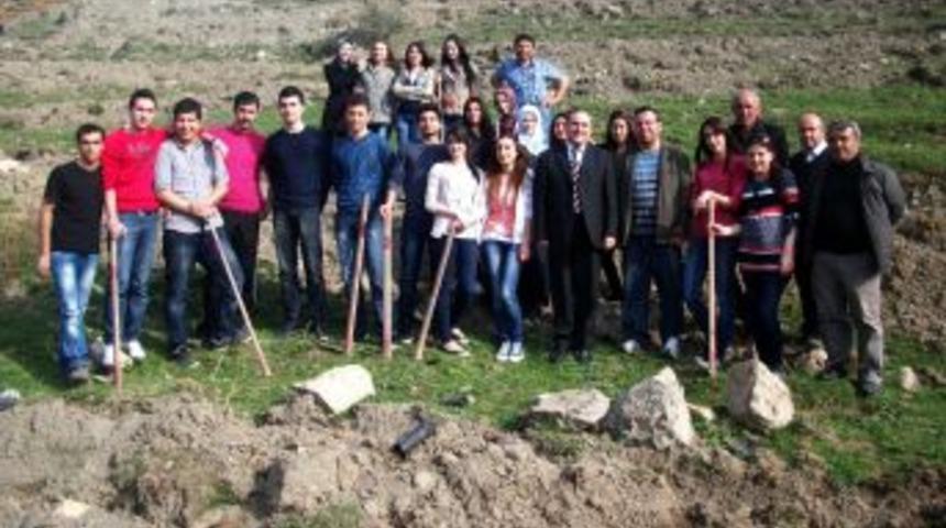 Amasya &Uuml;niversitesi &Ouml;ğrencilerinden Ağa&ccedil;landırma &Ccedil;alışması