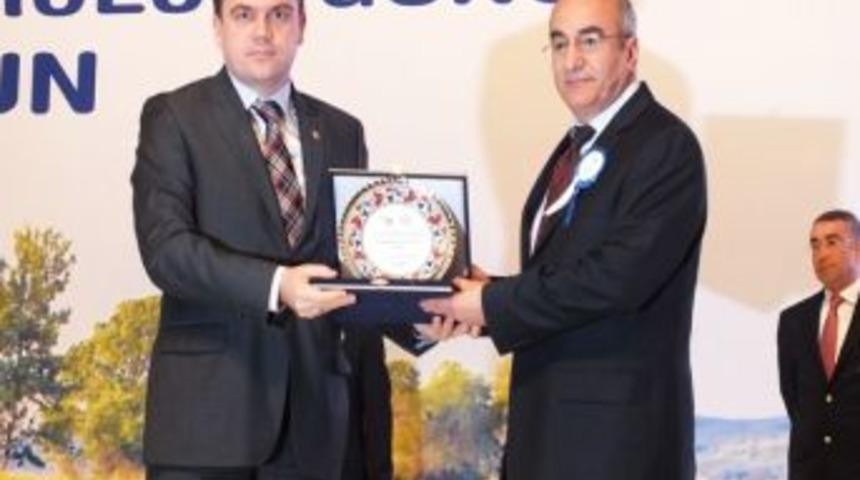 Güzel Sanatlar Fakültesinden Bir Ödül Daha