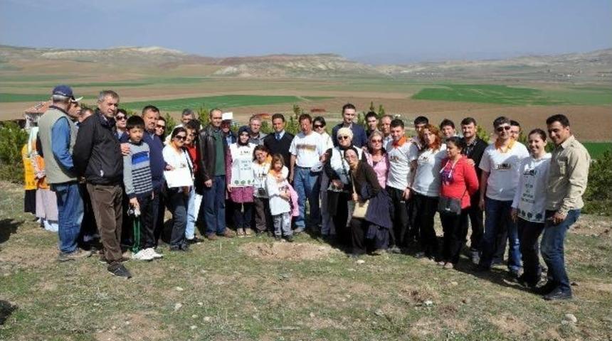 Gemerek&rsquo;te 10 Bin Fidan Toprakla Buluştu