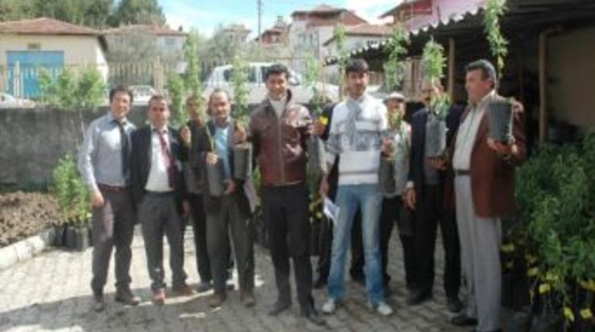 Selendi'de 3 Bin Adet Badem Fidanı Dağıtıldı