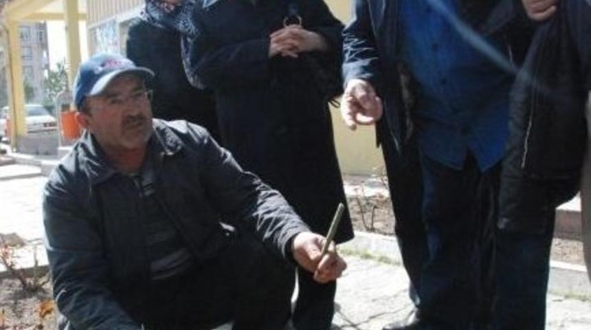 Melikgazi Belediyesi&rsquo;nden Fidan Dikimi, Aşı, Budama, İla&ccedil;lama, Fidancılık, Bah&ccedil;e Ve Saksı &Ccedil;i&ccedil;ek&ccedil;iliği Kursu