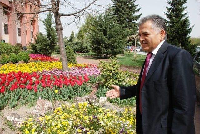 Melikgazi Belediyesi’nden Fidan Dikimi, Aşı, Budama, İlaçlama, Fidancılık, Bahçe Ve Saksı Çiçekçiliği Kursu