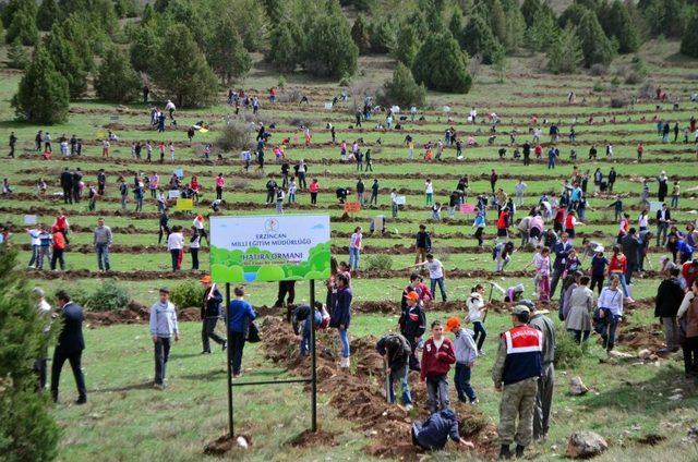 ‘Bin Fidan Bir Orman’ Projesi Erzincan’ın Yeşillenmesine Katkı Sağlayacak