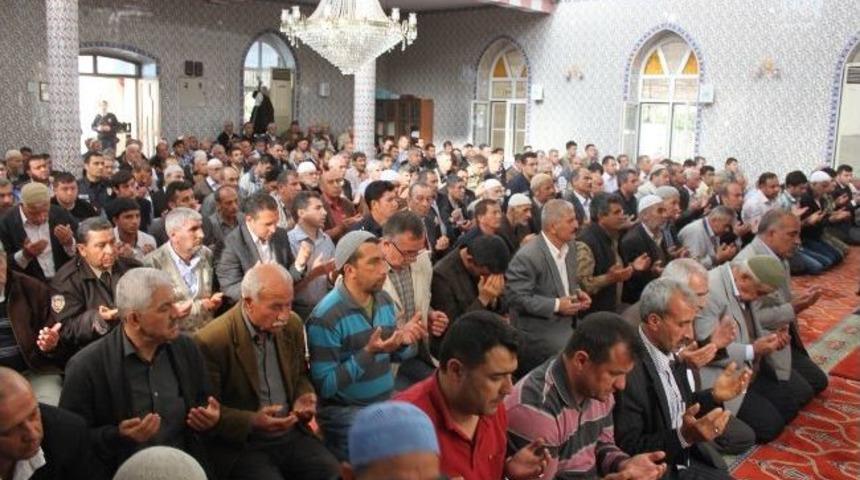 Şehitler İ&ccedil;in Mevlid Okutuldu