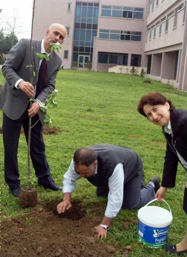 Öğrenciler Okul Bahçesine Meyve Fidanı Dikti