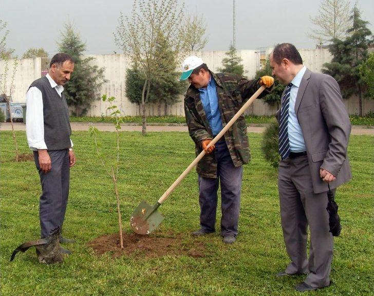 Öğrenciler Yeşil Bursa için Ağaç Dikti Öğrenciler Yeşil Bursa için Ağaç Dikti