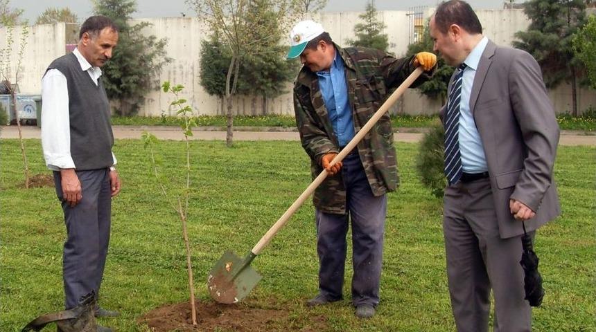 &Ouml;ğretmen Ve &Ouml;ğrenciler Birlik Olup Ağa&ccedil; Dikti