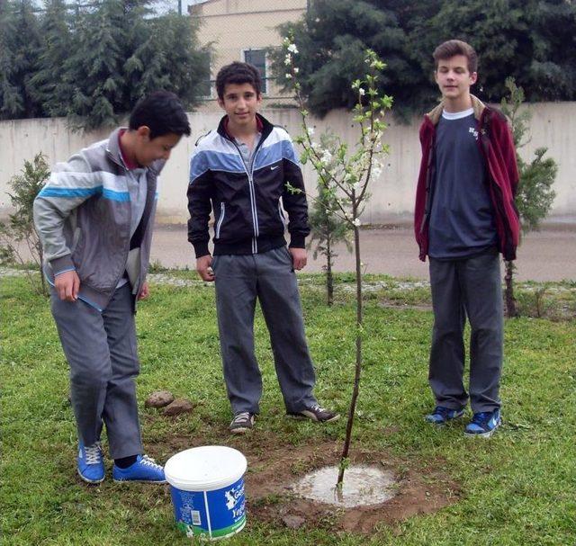 Öğretmen Ve Öğrenciler Birlik Olup Ağaç Dikti