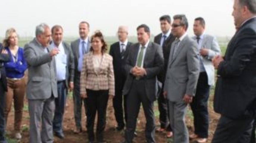 Sarı&ccedil;am&rsquo;da Hizmet Binası İnşaatı Başladı