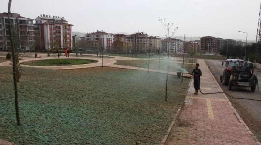 Elazığ'da &Ccedil;im Ekimi