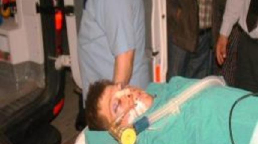 Kardeşler Aynı Akıbeti Yaşadı