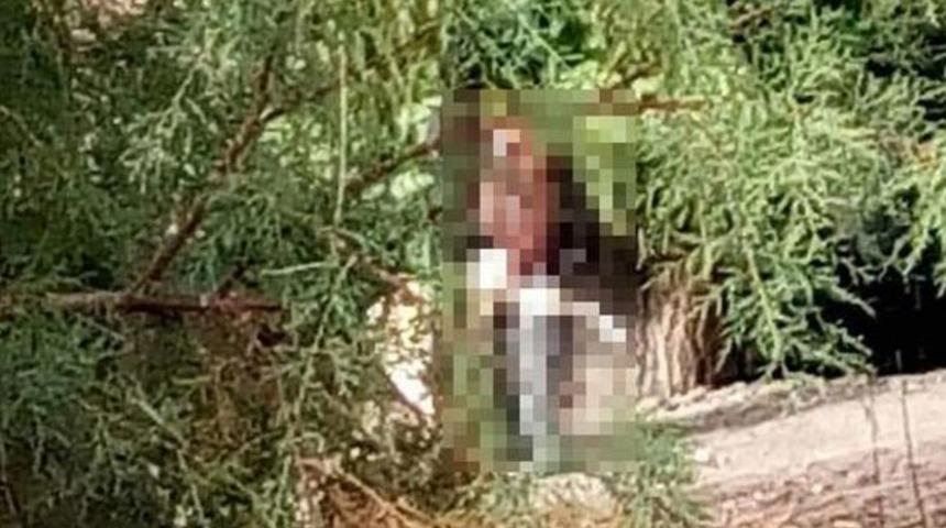 Samsun'da iğrenç olay! 69 yaşındaki kadına sokakta tecavüze kalkıştı