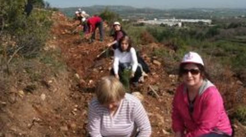 Denizli Belediyesi Kent Konseyi Kadın Meclisi Üyeleri Ağaç Dikti