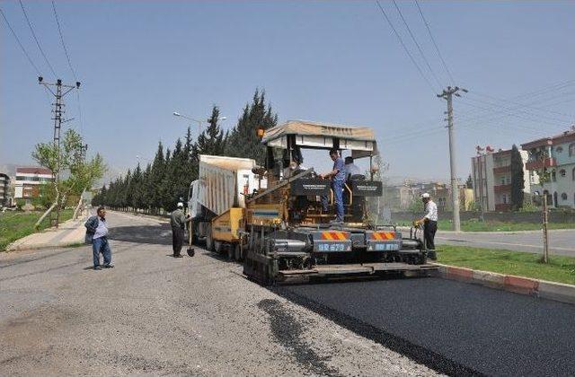 Belediyeden Asfalt Çalışması