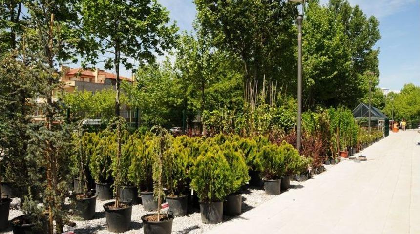 ANFA Mevsimlik &Ccedil;i&ccedil;ek, Ağa&ccedil;, &Ccedil;alı Ve Bah&ccedil;e Ekipmanları Satış Yeri, Hizmete Girdi