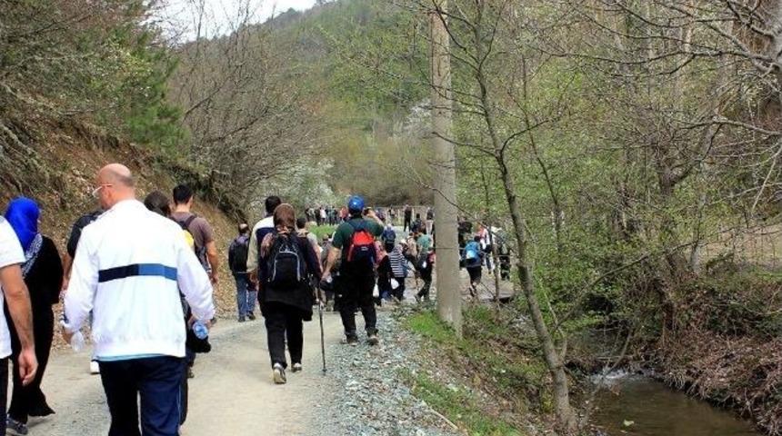 Sakarya&rsquo;da Doğa Y&uuml;r&uuml;y&uuml;şleri Devam Ediyor
