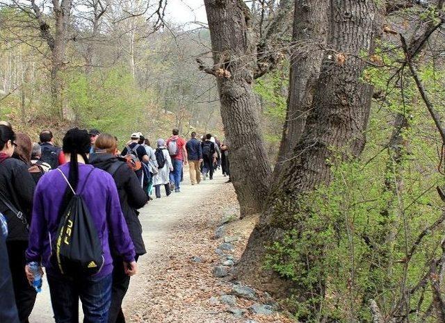 Sakarya’da Doğa Yürüyüşleri Devam Ediyor