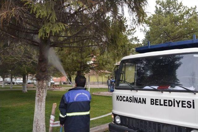 Kocasinan'dan Ağaçlara Bahar Koruması