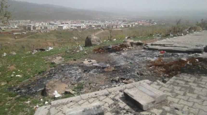 Bing&ouml;l Kent Ormanı Harabeye D&ouml;nd&uuml;