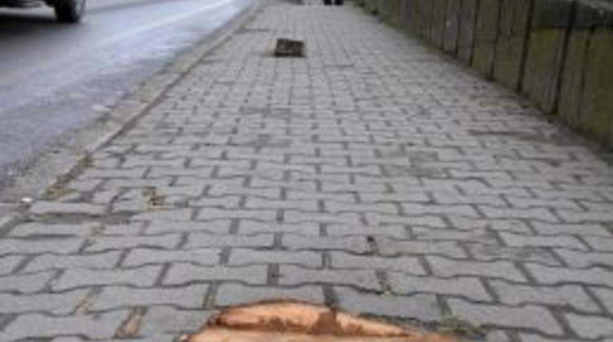 Samsun'da Tehlike Arz Eden Ve Yaya Ge&ccedil;işini Engelleyen Kavak Ağa&ccedil;ları Kesiliyor