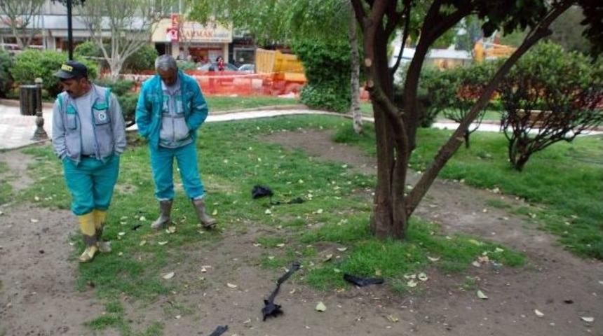 Ağaca Asılı &Ccedil;anta Bomba Sanıldı