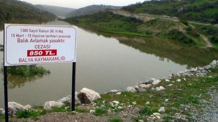 Avlanma Yasağına Uyulmuyor