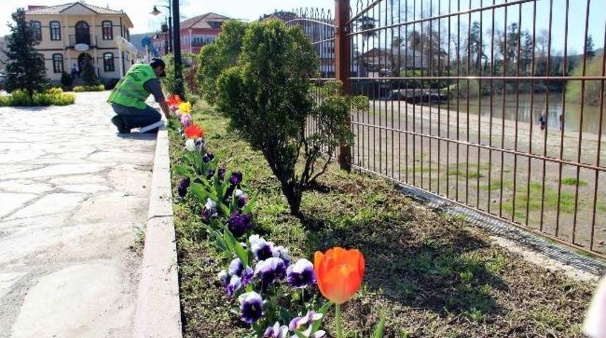 Belediye Serası Yaz Hazırlıklarına Başladı