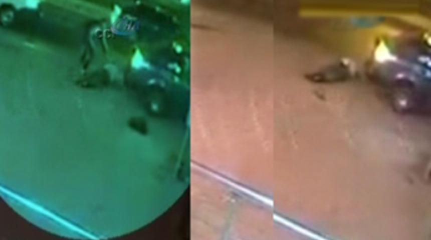 Bakırk&ouml;y&rsquo;de kan donduran intikam !