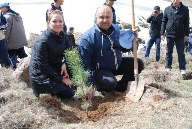 Polis Tekir Yaylasına 175 Adet Ağaç Dikti