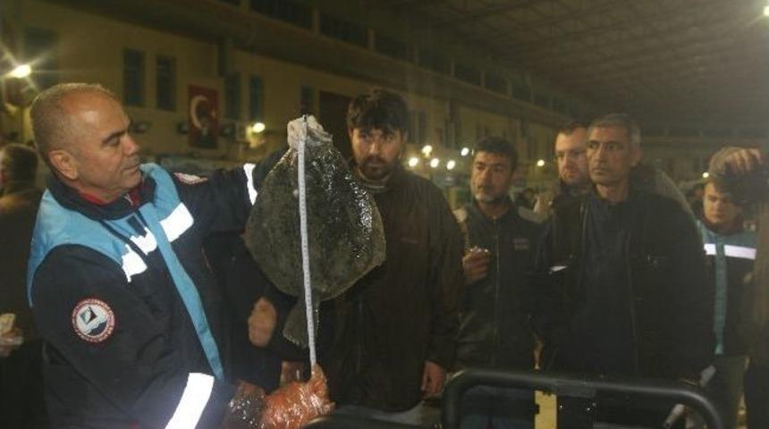 Balık Haline Şafak Baskını