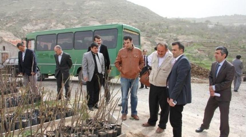 &Uuml;rg&uuml;p&rsquo;te &Ccedil;ift&ccedil;ilere Ceviz Yetiştiriciliği Eğitimi Verildi