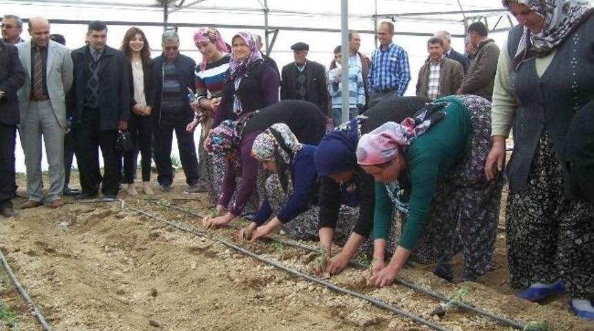 Korkuteli'nde "&ccedil;ift&ccedil;i Tarla Okulu" Projesi Başladı