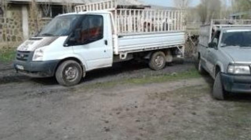 Varto&rsquo;da Ele Ge&ccedil;irilen K&uuml;pesiz 28 Hayvan Kesildi