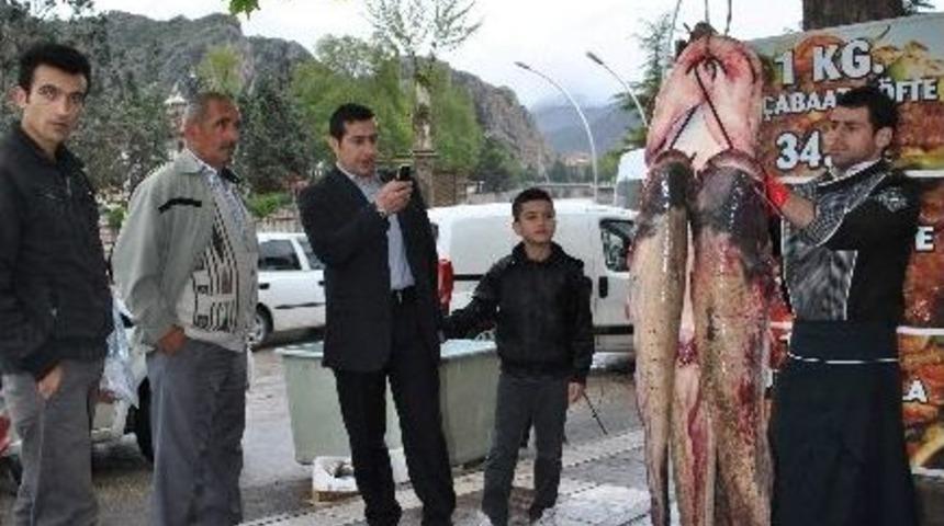 Dev Yayın S&uuml;r&uuml;s&uuml; Şaşırttı