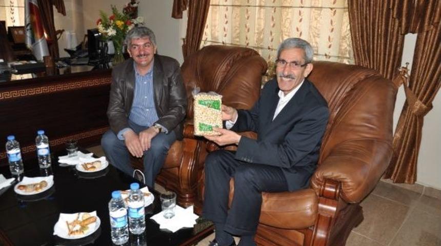 Barışa Fındıklı Destek