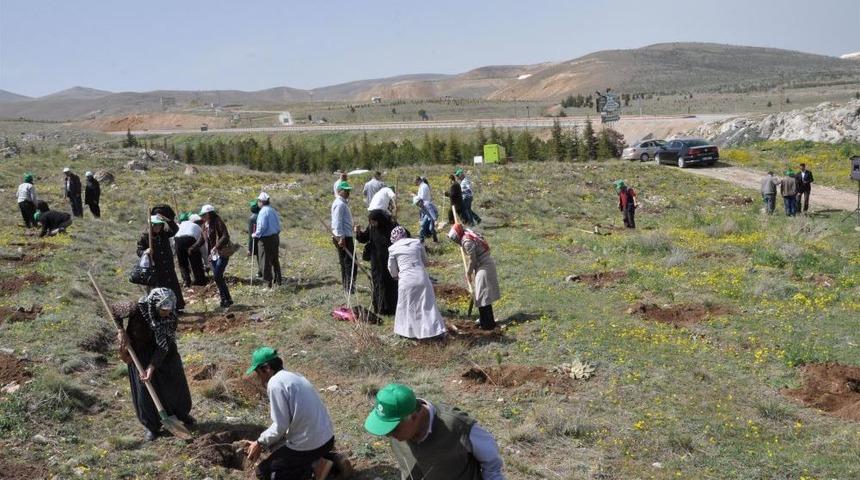 'G&ouml;n&uuml;l G&ouml;zleriyle 300 Gidan Diktiler'