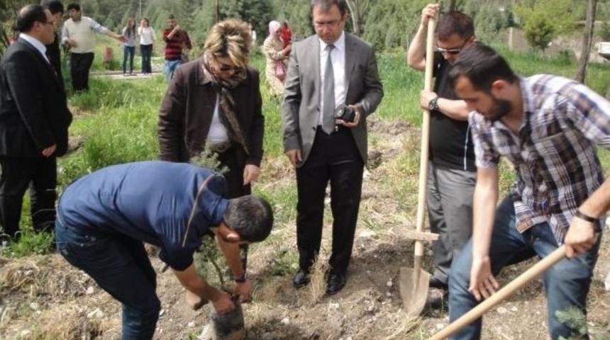 Ks&uuml; &Ouml;ğrencileri Fidan Dikti