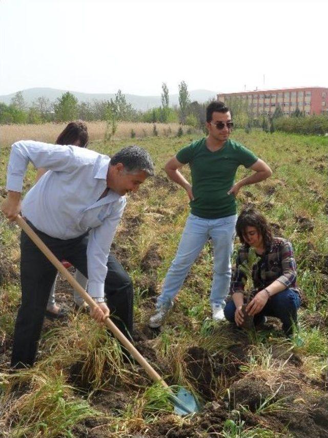 Ksü Öğrencileri Fidan Dikti