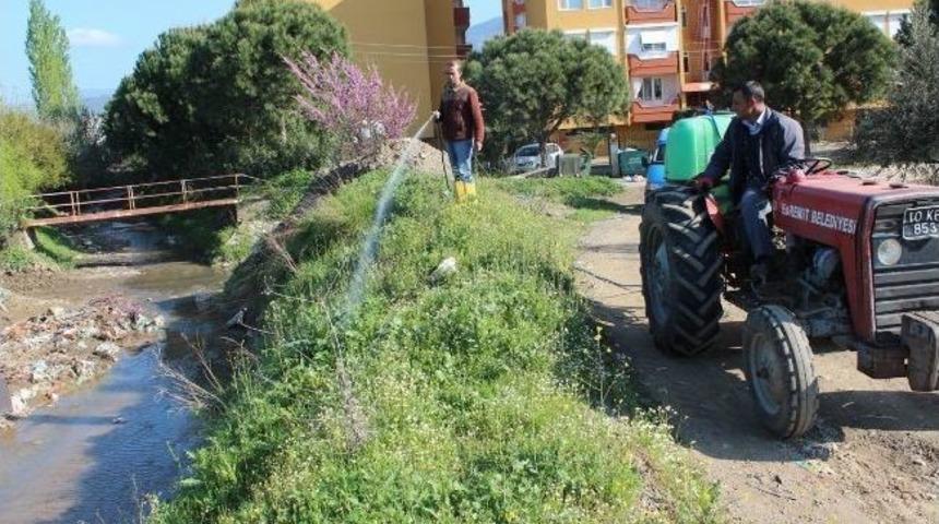 Edremit&rsquo;te Sineksiz Bir Sezon İ&ccedil;in Ekipler Alarmda