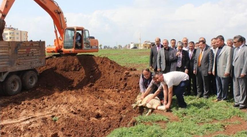 Zenbilci: "sarı&ccedil;am İ&ccedil;in Kalıcı Eser Yapıyoruz"