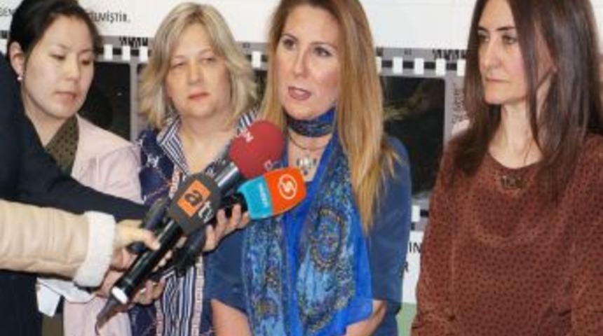 İstanbul'da Tedavi Edilen Deniz Kaplumbağaları Akdeniz'e Salınacak