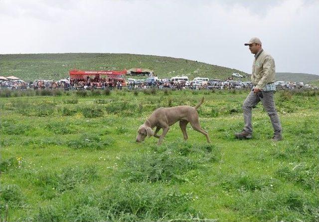 Avcılar, Köpekleriyle Menemen’de Yarıştı