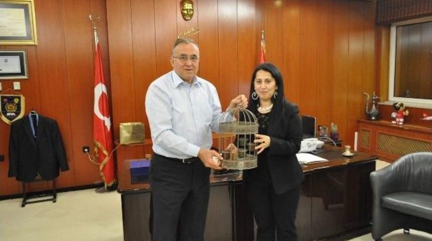 Efeler Makama &Ccedil;ıktı