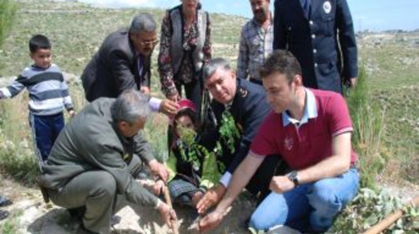 Silifke&rsquo;de Minik Eller Polis Ormanını G&uuml;&ccedil;lendirdi