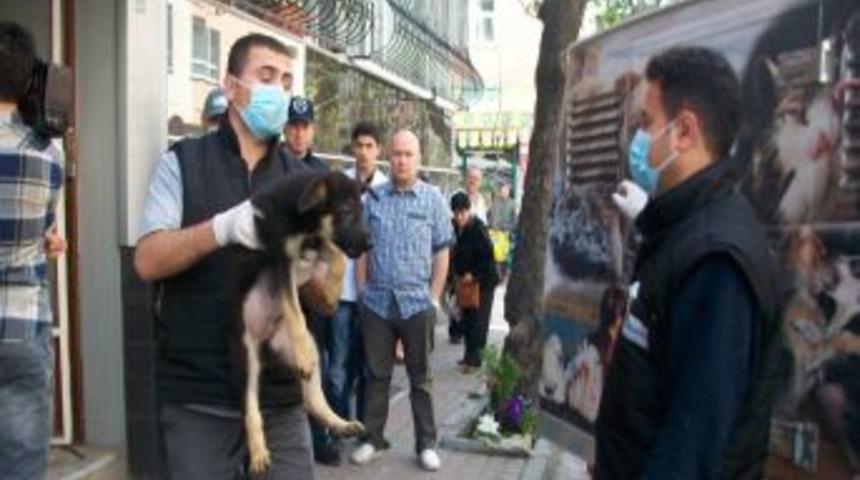 Apartman Dairesinden 23 K&ouml;pek &Ccedil;ıktı