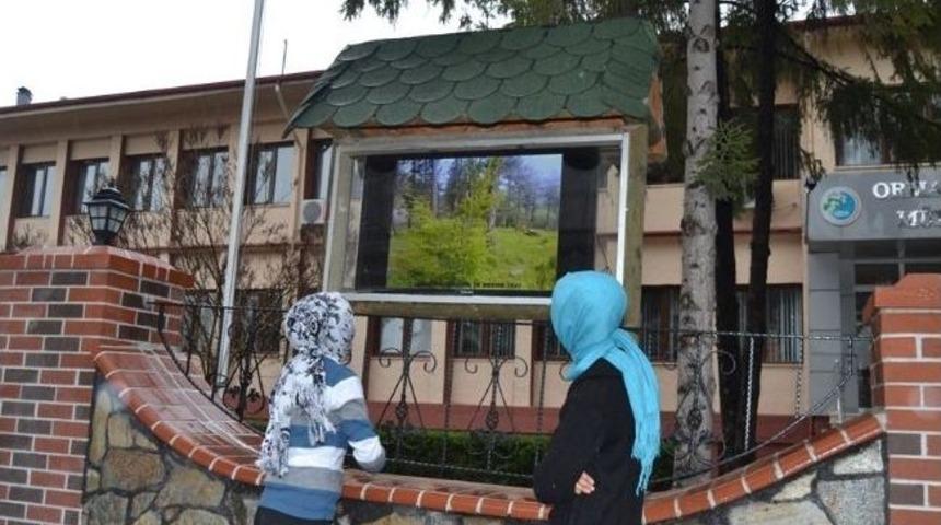Gediz'de Ormancılık Faaliyetleri Dijital Panoda Tanıtılıyor