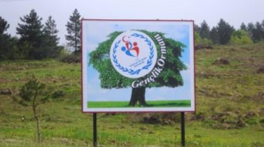 Gençlik Ormanı Yeşeriyor