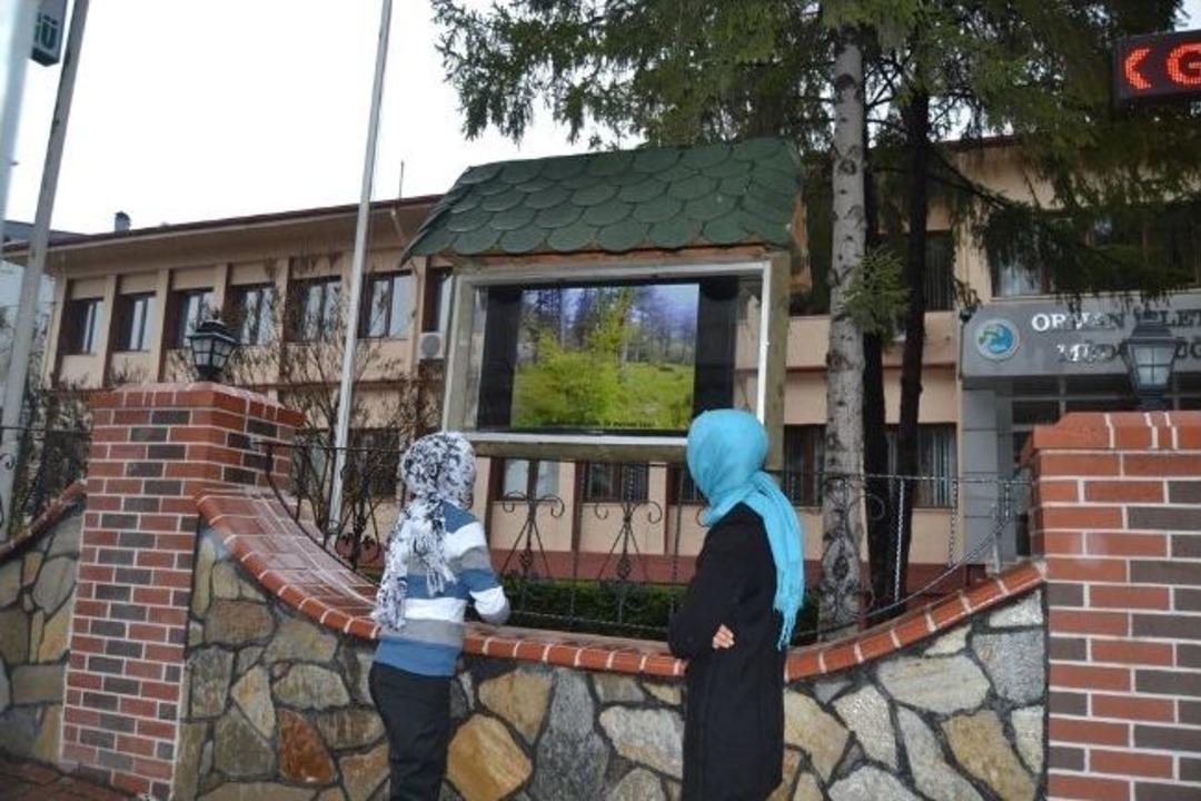 Ormancılık Faaliyetleri Digital Panoda