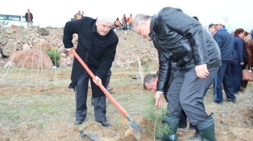 K&uuml;tahya'da Kamu Hastaneleri Birliği 'hatıra Ormanı' Oluşturdu