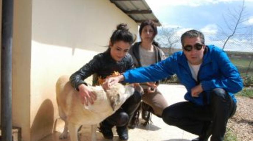 Erkan Petekkaya, Hayvan Barınağı&rsquo;nda